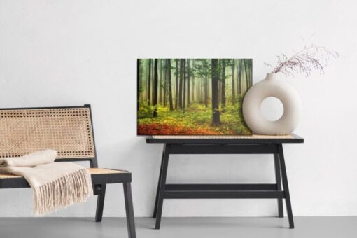 Leinwandbild 3D-Waldlandschaft
