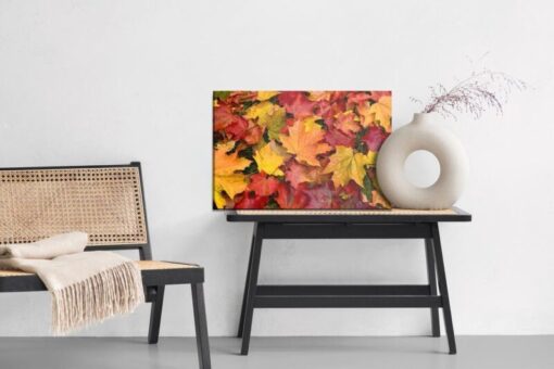 Leinwandbild Ahornblätter In Herbstfarben