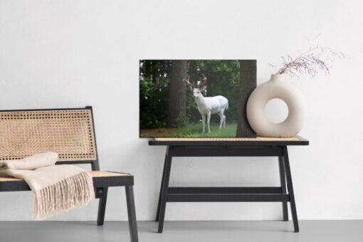 Leinwandbild Albinohirsche Im Wald