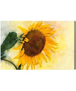 Leinwandbild Aquarell Sonnenblume