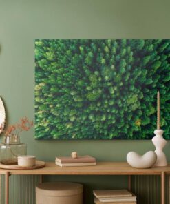 Leinwandbild Bäume In Den Karpaten