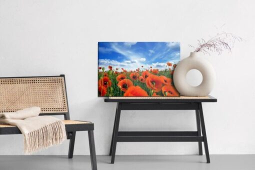 Leinwandbild Blühende Mohnblumen Auf Einer Wiese 3D
