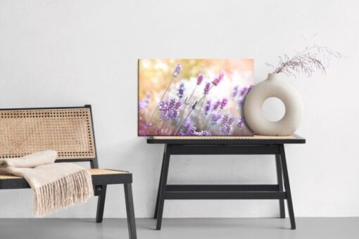 Leinwandbild Blühender Lavendel