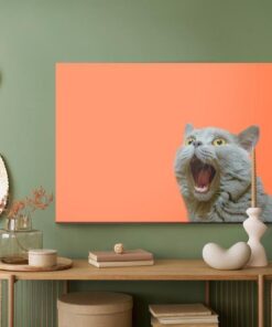 Leinwandbild Britische Katze Auf Orangefarbenem Hintergrund