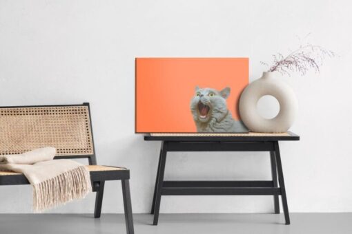 Leinwandbild Britische Katze Auf Orangefarbenem Hintergrund