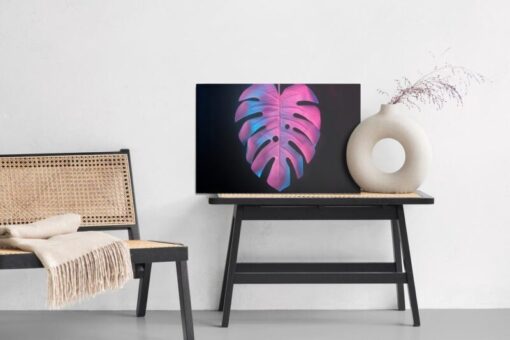 Leinwandbild Buntes Monsterblatt Auf Schwarzem Hintergrund