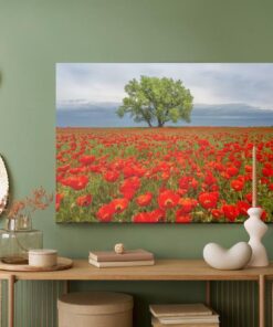 Leinwandbild Ein Baum Mitten In Einem Mohnfeld