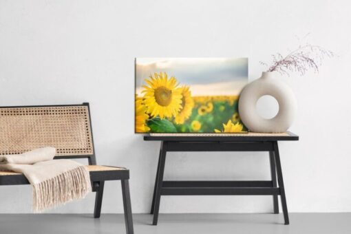 Leinwandbild Ein Feld Mit Schönen Gelben Sonnenblumen