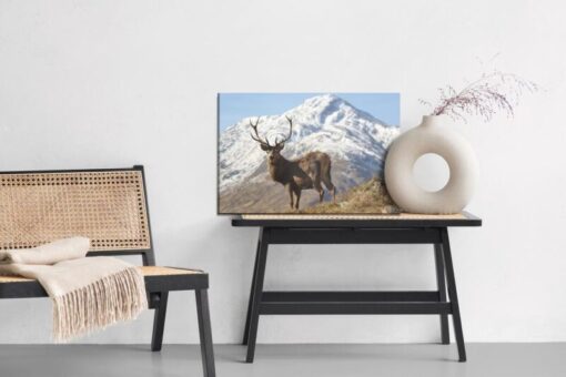 Leinwandbild Ein Reh Mit Berggipfel Im Hintergrund - Aus Dem Verkauf Genommen