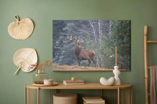 Leinwandbild Ein Stattliches Reh Im Wald