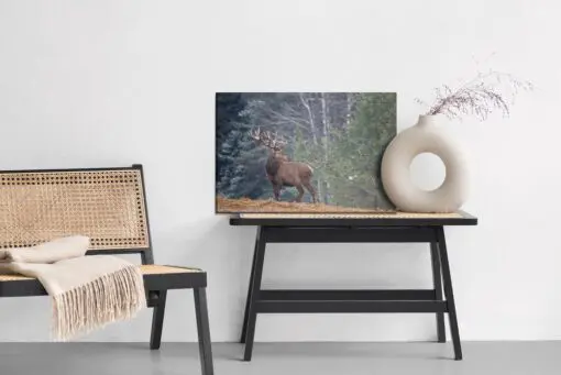 Leinwandbild Ein Stattliches Reh Im Wald