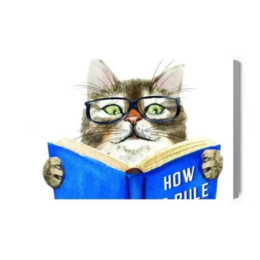 Leinwandbild Eine Gelesene Katze