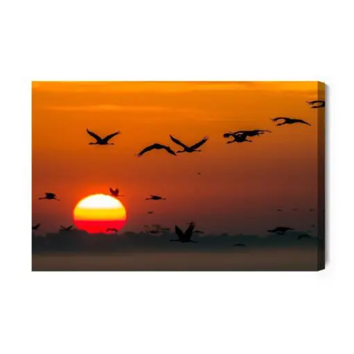 Leinwandbild Fliegende Kraniche