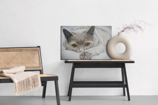 Leinwandbild Graue Katze Wie Gemalt