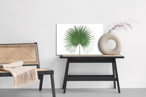 Leinwandbild Grünes Blatt Auf Weißem Hintergrund