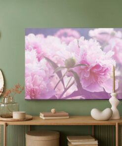 Leinwandbild Helle Pfingsrosen