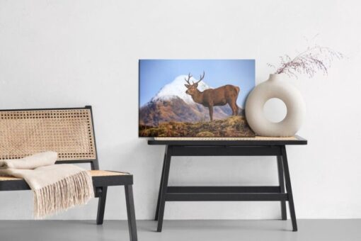 Leinwandbild Hirsche Auf Dem Hintergrund Der Berge