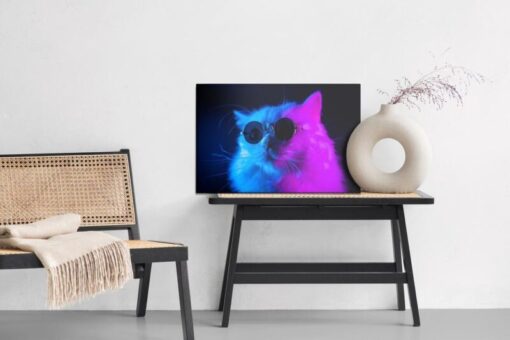Leinwandbild Katze Mit Sonnenbrille