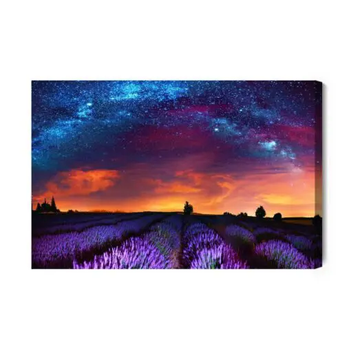 Leinwandbild Lavendelfeld In Einer Sternenklaren Nacht