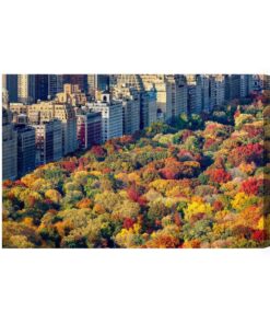Leinwandbild Luftaufnahme Des Central Parks