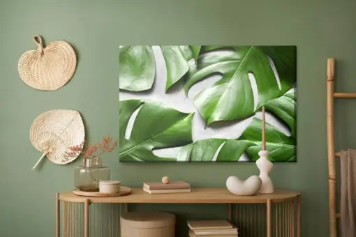 Leinwandbild Monstera-Blätter Auf Grauem Hintergrund