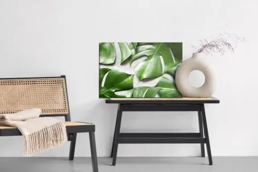 Leinwandbild Monstera-Blätter Auf Grauem Hintergrund