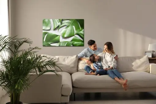 Leinwandbild Monstera-Blätter Auf Grauem Hintergrund
