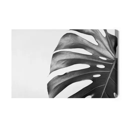 Leinwandbild Monstera-Blatt In Schwarz-Weiß-Version