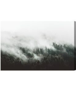 Leinwandbild Moody Forest Landscape With Fog And Mist