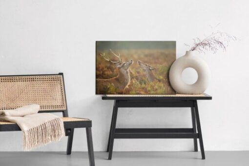 Leinwandbild Reh Mit Reh