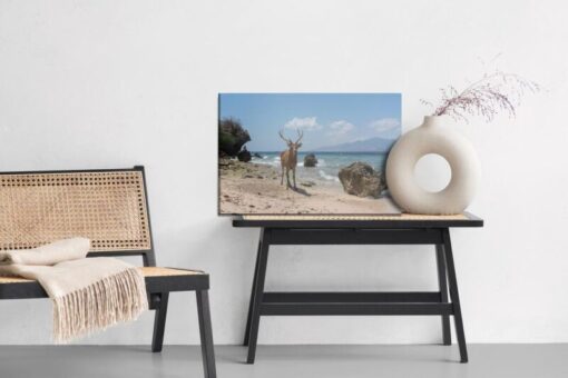 Leinwandbild Rehe Am Strand