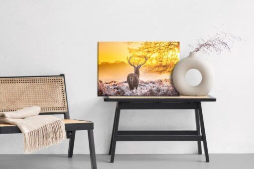 Leinwandbild Rehe Bei Sonnenaufgang