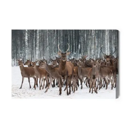 Leinwandbild Rehe Unter Den Hirschen