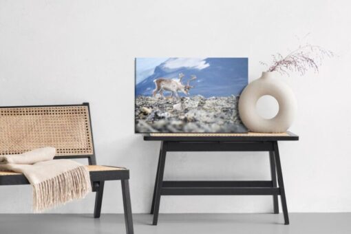 Leinwandbild Rentiere Auf Dem Hintergrund Der Berge