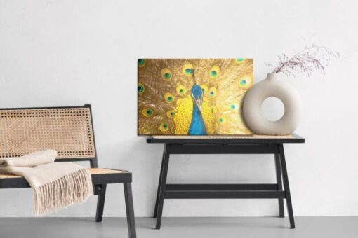 Leinwandbild Schöner Bunter Pfau