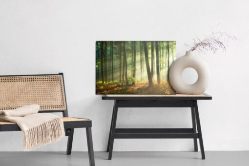 Leinwandbild Schöner Morgen Im Wald