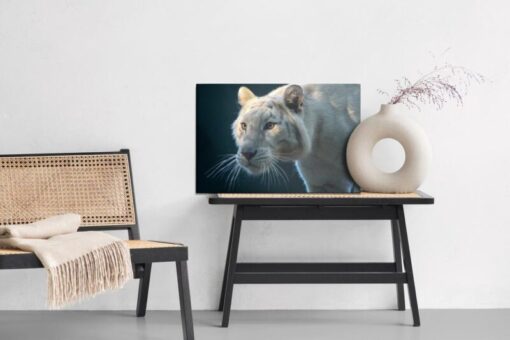 Leinwandbild Schöner Weißer Tiger