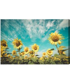 Leinwandbild Sonnenblumenfeld Gegen Den Himmel