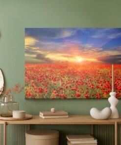Leinwandbild Sonnenuntergang Über Einem Feld Von Mohnblumen