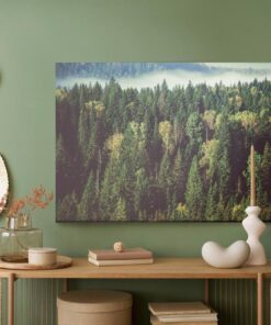 Leinwandbild Wald Mit Nebel Im Hintergrund