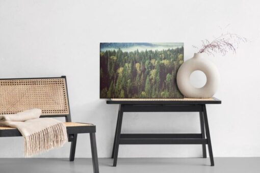 Leinwandbild Wald Mit Nebel Im Hintergrund