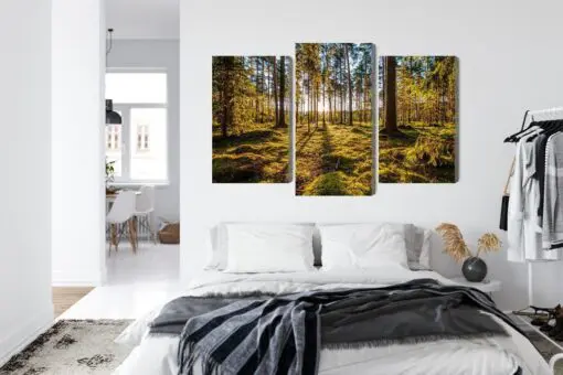 Mehrteiliges Bild 3D Sonnige Waldlandschaft