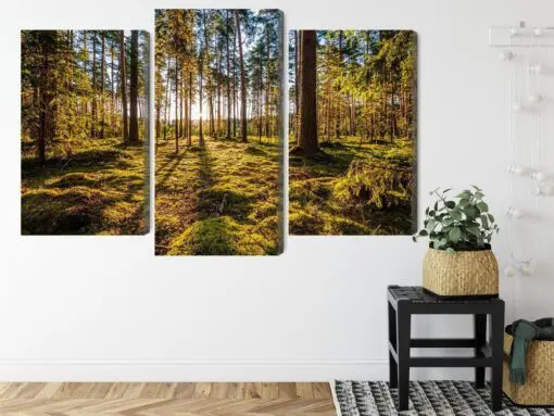 Mehrteiliges Bild 3D Sonnige Waldlandschaft
