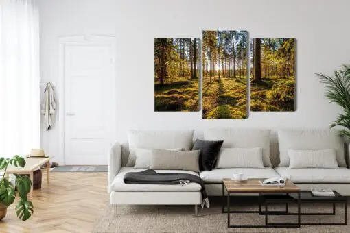 Mehrteiliges Bild 3D Sonnige Waldlandschaft