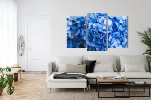 Mehrteiliges Bild Blaue Hortensienblüten Aus Nächster Nähe