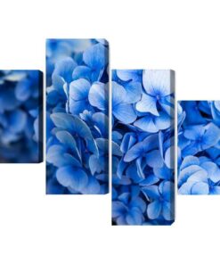 Mehrteiliges Bild Blaue Hortensienblüten Aus Nächster Nähe