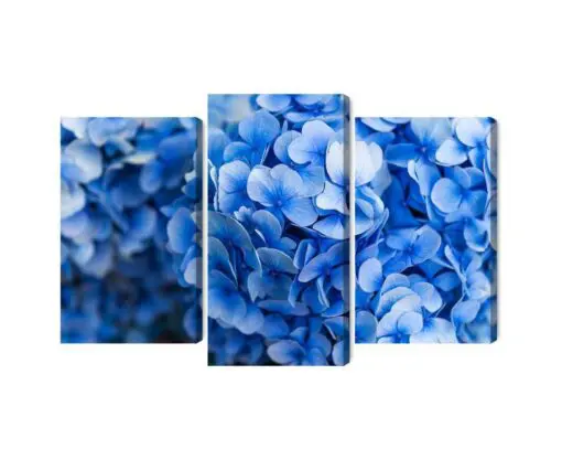 Mehrteiliges Bild Blaue Hortensienblüten Aus Nächster Nähe