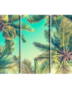 Mehrteiliges Bild Blick Von Unten Auf Die Palmen