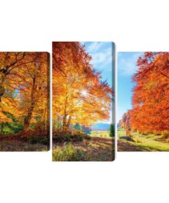 Mehrteiliges Bild Bunte Herbstbäume