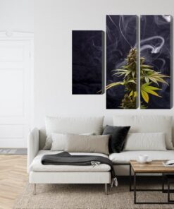 Mehrteiliges Bild Cannabispflanze Auf Rauchigem Hintergrund